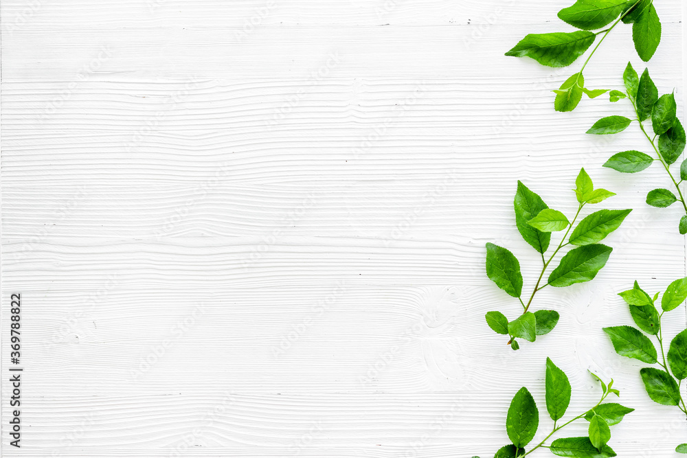 Pattern of green tree leaves, nature background. Overhead view, flat lay Pattern of green tree leaves, nature background. Overhead view, flat lay