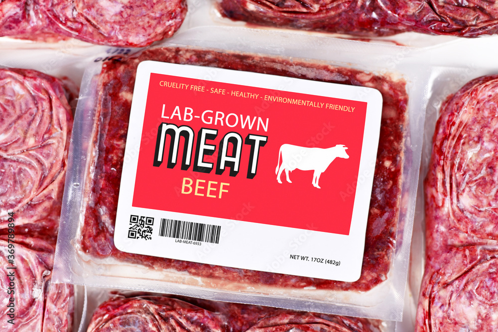Lab grown cultured meat concept for artificial in vitro cell culture