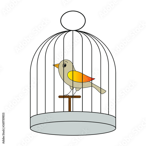 Bird in a cage on a white background