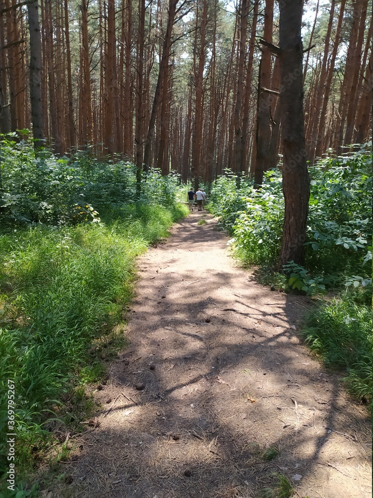 Fototapeta premium Кисловодский парк