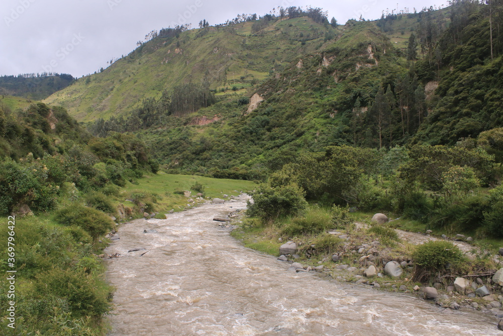 A dirty, fast flowing river surrounded by hills thats are covered in grass, small bushes and a few pine trees in the Andean mountains A dirty, fast flowing river surrounded by hills thats are covered in grass, small bushes and a few pine trees in the Andean mountains