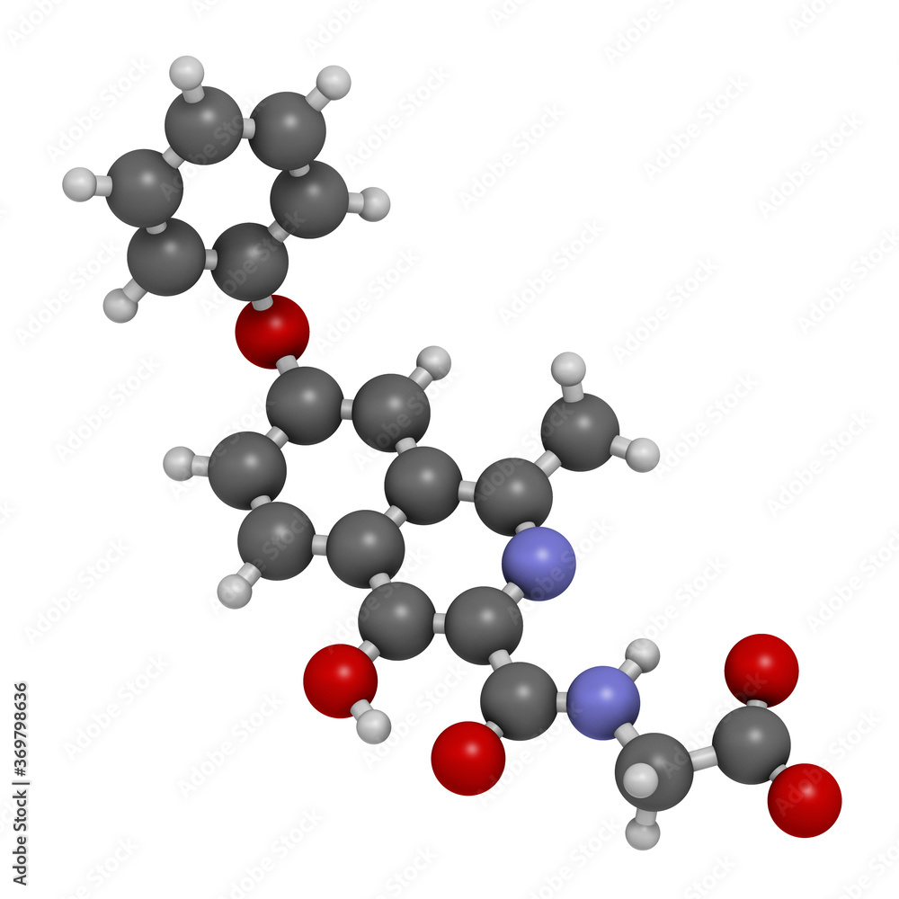 Roxadustat drug molecule. 3D rendering. Atoms are represented as spheres with conventional color coding: hydrogen (white), carbon (grey), nitrogen (blue), oxygen (red). Roxadustat drug molecule. 3D rendering. Atoms are represented as spheres with conventional color coding: hydrogen (white), carbon (grey), nitrogen (blue), oxygen (red).