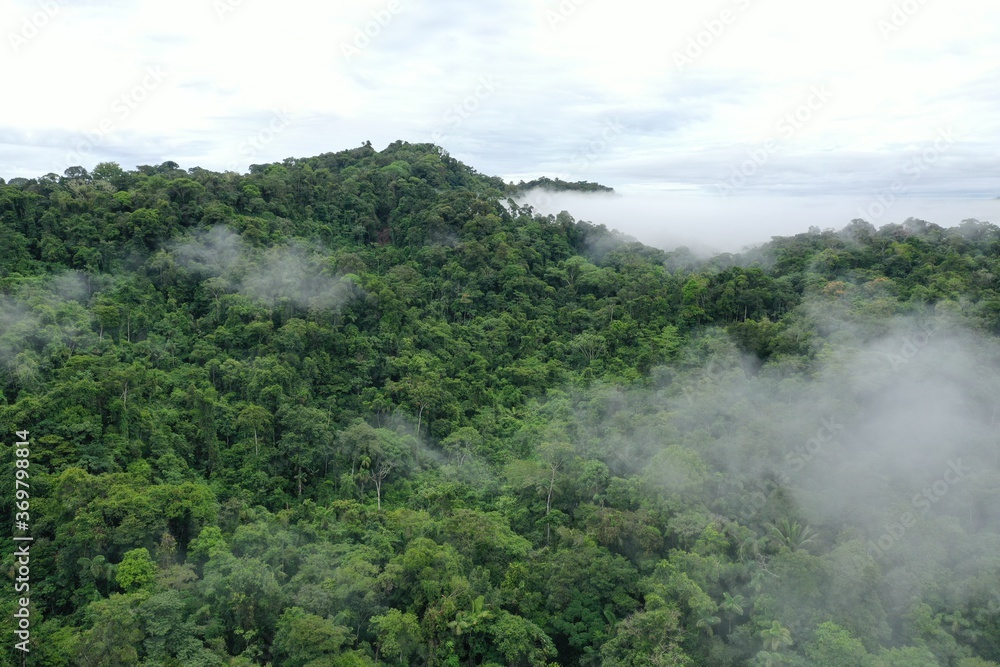 Fototapeta premium Widok z lotu ptaka na wzgórze w tropikalnym lesie deszczowym z wieloma chmurami pokrywającymi zieloną koronę drzew