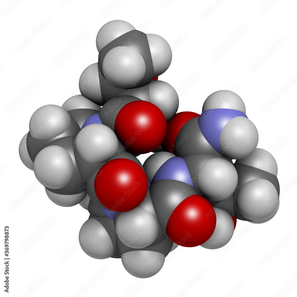 Rapastinel drug molecule. 3D rendering. Atoms are represented as spheres with conventional color coding: hydrogen (white), carbon (grey), nitrogen (blue), oxygen (red). Rapastinel drug molecule. 3D rendering. Atoms are represented as spheres with conventional color coding: hydrogen (white), carbon (grey), nitrogen (blue), oxygen (red).
