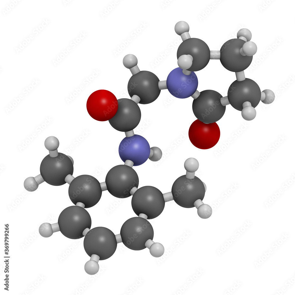 Nefiracetam nootropic drug molecule. 3D rendering. Atoms are represented as spheres with conventional color coding: hydrogen (white), carbon (grey), oxygen (red), nitrogen (blue). Nefiracetam nootropic drug molecule. 3D rendering. Atoms are represented as spheres with conventional color coding: hydrogen (white), carbon (grey), oxygen (red), nitrogen (blue).