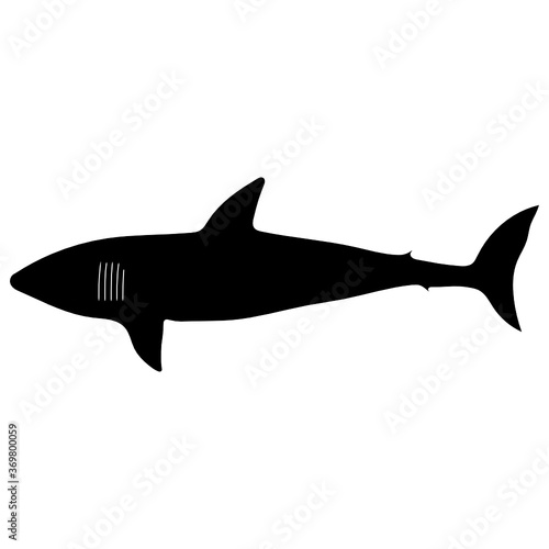 Primitive shark vector icon  50x50 px