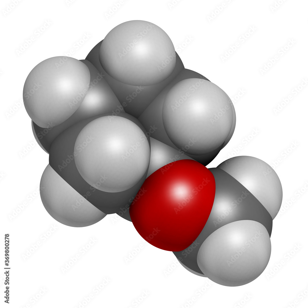Cyclopentyl methyl ether solvent molecule 3D rendering. Atoms are represented as spheres with conventional color coding: hydrogen (white), carbon (grey), oxygen (red). Cyclopentyl methyl ether solvent molecule 3D rendering. Atoms are represented as spheres with conventional color coding: hydrogen (white), carbon (grey), oxygen (red).