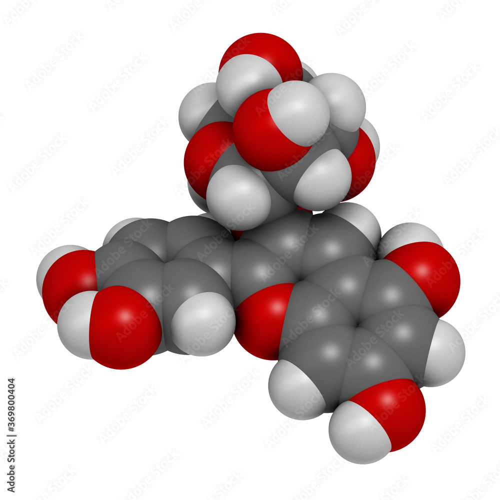 Chrysanthemin plant pigment molecule. 3D rendering. Atoms are represented as spheres with conventional color coding: hydrogen (white), carbon (grey), oxygen (red). Chrysanthemin plant pigment molecule. 3D rendering. Atoms are represented as spheres with conventional color coding: hydrogen (white), carbon (grey), oxygen (red).