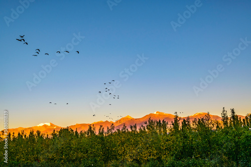 Mountains Landscape, San Juan Province, Argentina photo