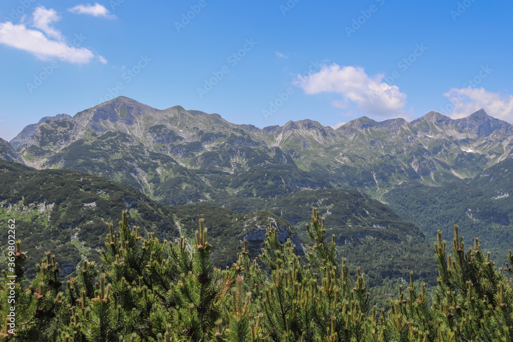 Obraz premium View to the mountain Vogel in Slovenia in summer