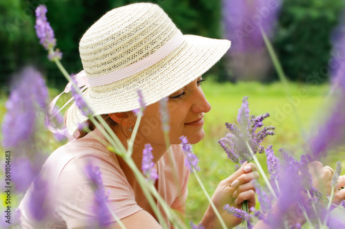  A young woman collects lavender(Lavandula angustifolia) , which smells beautiful and has a wonderful purple color. Summer time. photo