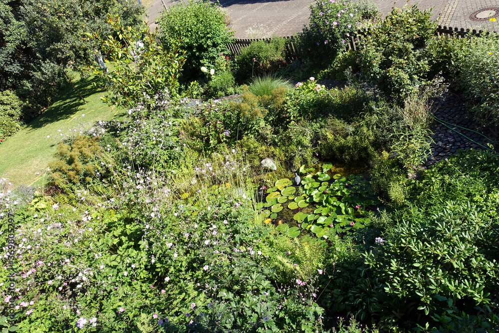 naturnahe Gartenanlage mit Seerosenteich und Holzzaun naturnahe Gartenanlage mit Seerosenteich und Holzzaun