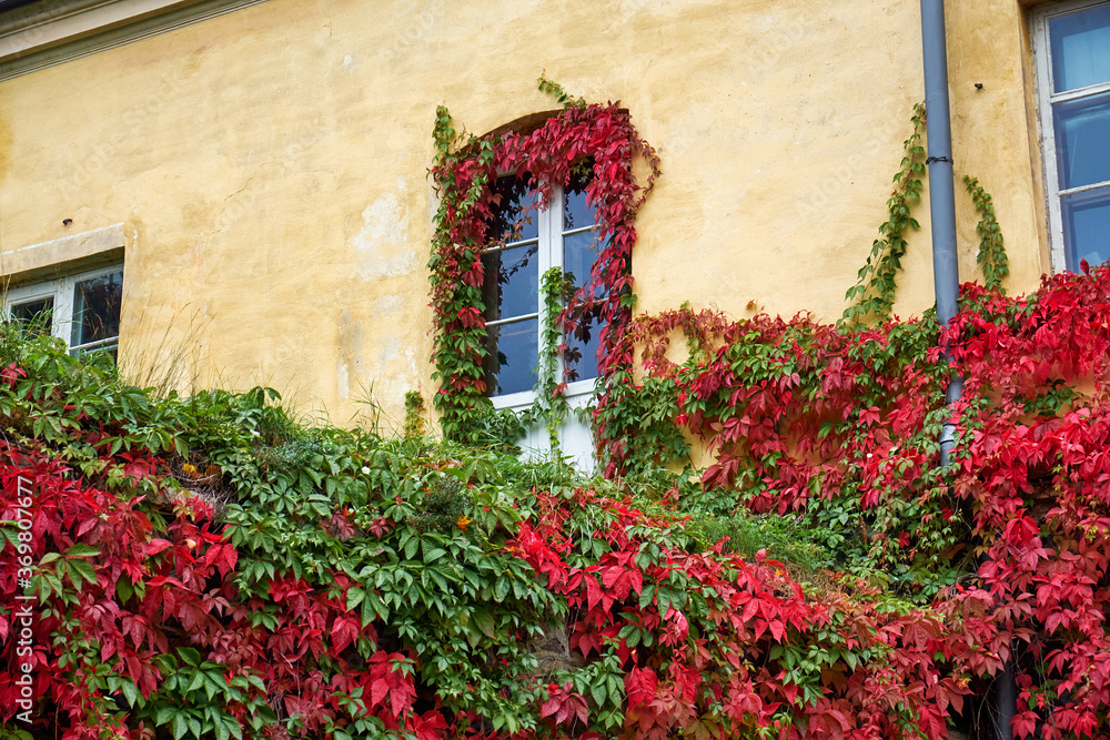 Finland. Helsinki. The territory of the fortress Sveaborg in Helsinki. September 16, 2018 Finland. Helsinki. The territory of the fortress Sveaborg in Helsinki. September 16, 2018