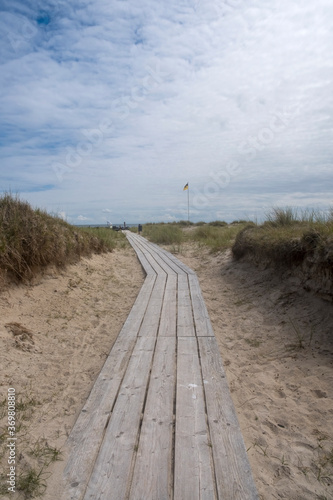 Bohlenweg in den Dünen photo