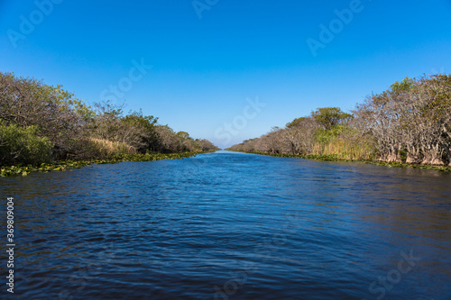 The Everglades National Park  Florida  USA