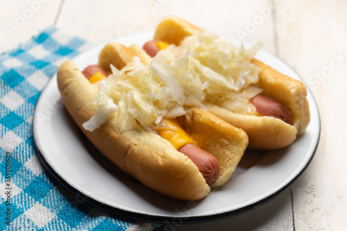 Montreal hot dog with cabbage on white background
