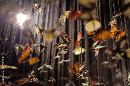 Photography travel in Hongkong Kowloon