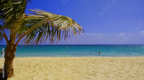 Fototapeta Naklejka Na Ścianę i Meble -  ocean beach e palm