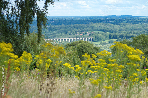 View of Cefn Mawr Viaduct which carries the Chester and Shrewsbury railway over the River Dee between Newbridge and Cefn-Bychan. The arches in the distance have soft focus wild flowers in foreground.