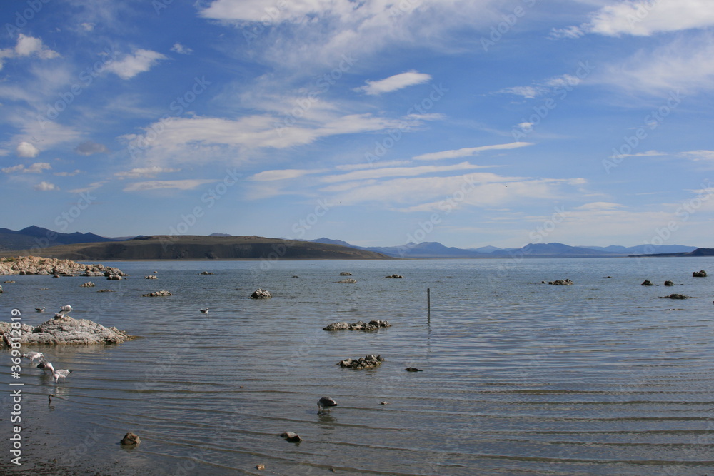 Peaceful lake