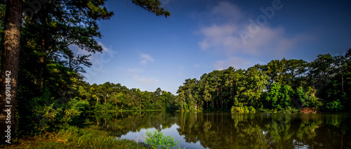 Tranquility