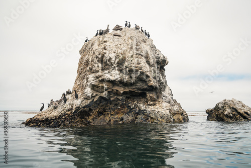 Moody seascape. Rock in the ocean and flock of birds, cormorants and pelicans