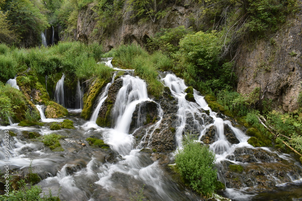 Obraz premium waterfall in the forest