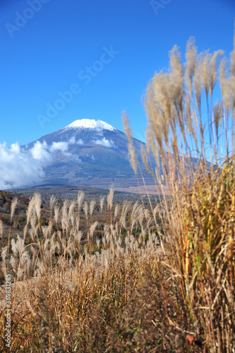 富士山とススキの風景