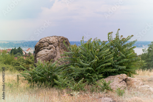 movable stone in Sukoró at summer, Sukorói ingókő photo