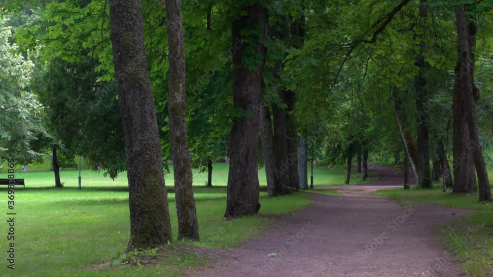 Path in public park surrounded by lush green woods on a sunny day. Beautiful road in the city park. Nobody Path in public park surrounded by lush green woods on a sunny day. Beautiful road in the city park. Nobody
