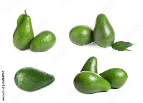 Set of whole avocados on white background