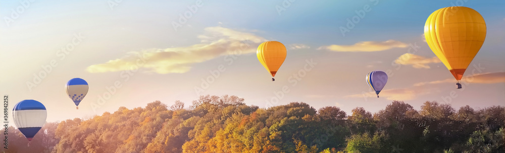 Hot air balloons over forest. Banner design
