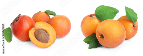 Set of fresh apricots on white background. Banner design