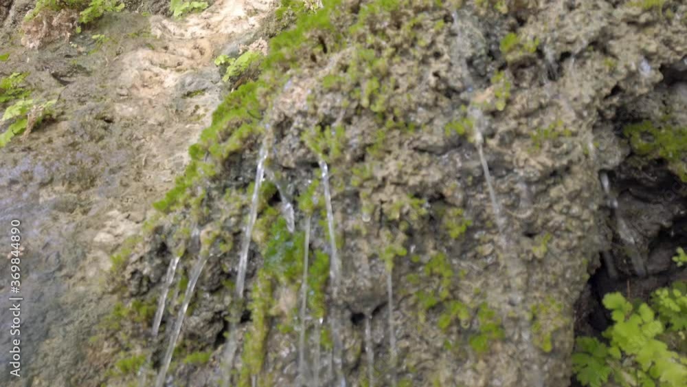 Close up of the wet, plant covered, rock walls around the David waterfalls – part of the Ein Gedi oasis natural reserve in Israel. Close up of the wet, plant covered, rock walls around the David waterfalls – part of the Ein Gedi oasis natural reserve in Israel.
