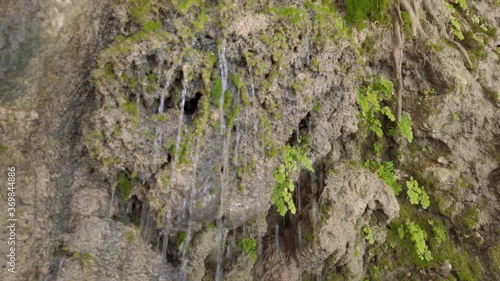 Wallpaper Mural Close up of the wet, plant covered, rock walls around the David waterfalls – part of the Ein Gedi oasis natural reserve in Israel. Torontodigital.ca