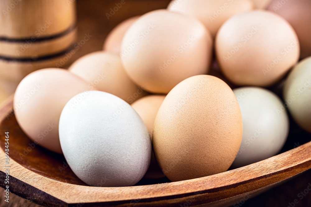 Brazilian free-range eggs, natural free-range eggs from Minas Gerais Brazilian free-range eggs, natural free-range eggs from Minas Gerais