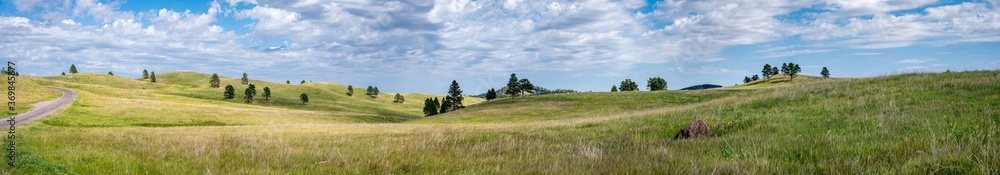 Panoramic open grassland prairie at Custer State Park in South Dakota, USA