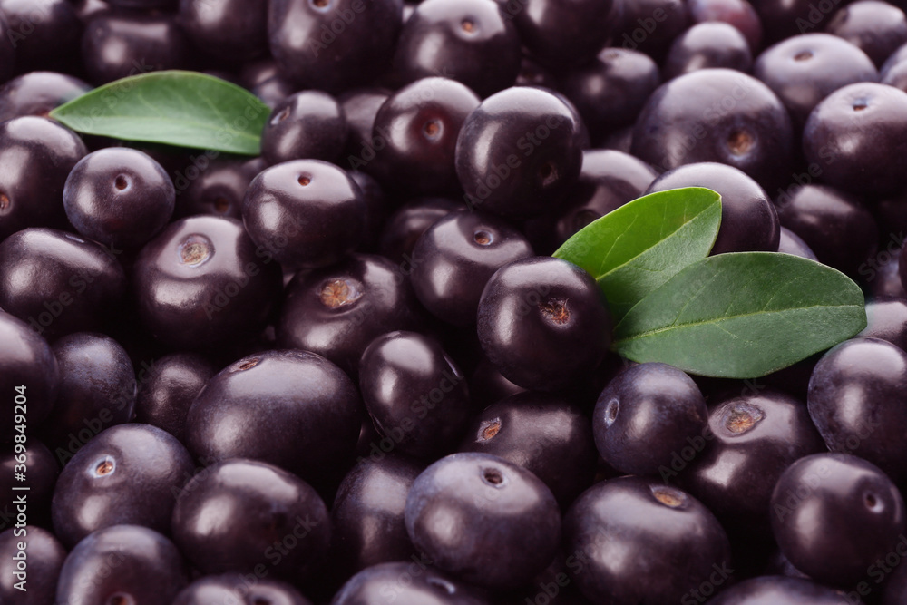 Fresh ripe acai berries as background, closeup Fresh ripe acai berries as background, closeup