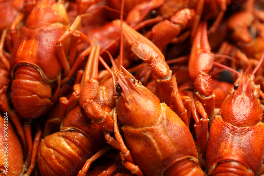 Delicious boiled crayfishes as background, closeup view Delicious boiled crayfishes as background, closeup view