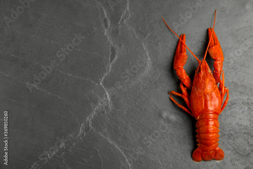 Delicious boiled crayfish on black table, top view. Space for text