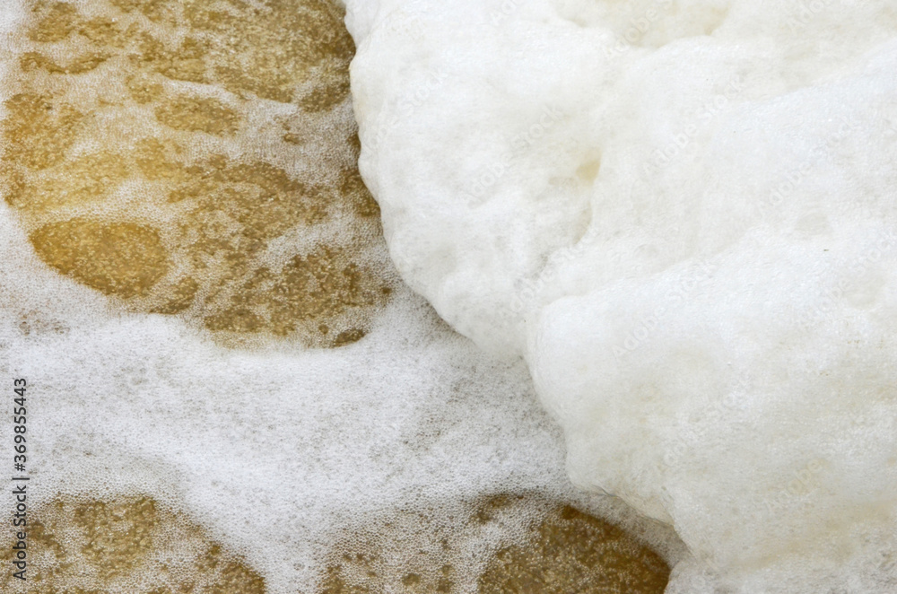 White sponge heap on seethe of the stream White sponge heap on seethe of the stream
