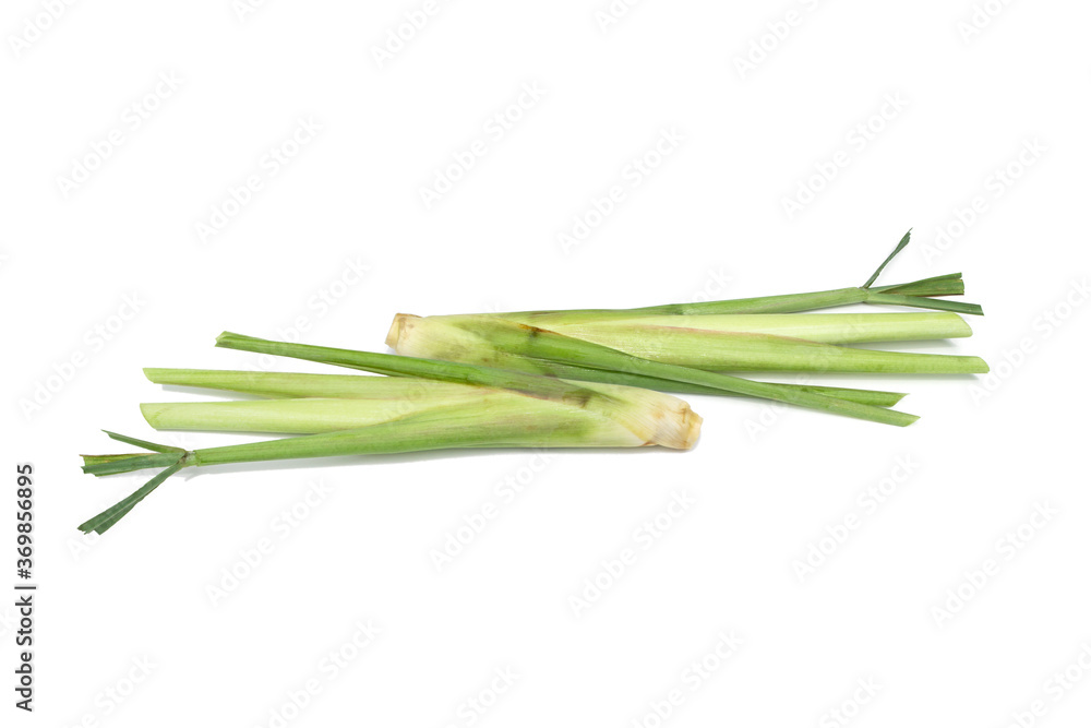 Lemongrass isolated on a white background. Lemongrass isolated on a white background.