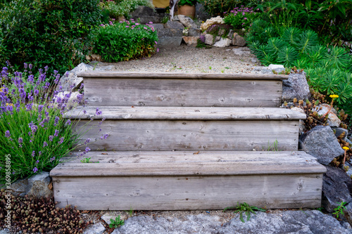 Weathered, wood garden steps on a cottage vacation property, showing several plants in a landscaped pathway. Symbolic of peace, progress, tranquility, or an example of recycled wood projects. photo