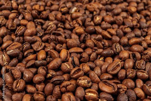 Roasted mocha coffee beans background. Mocha - sort of arabica