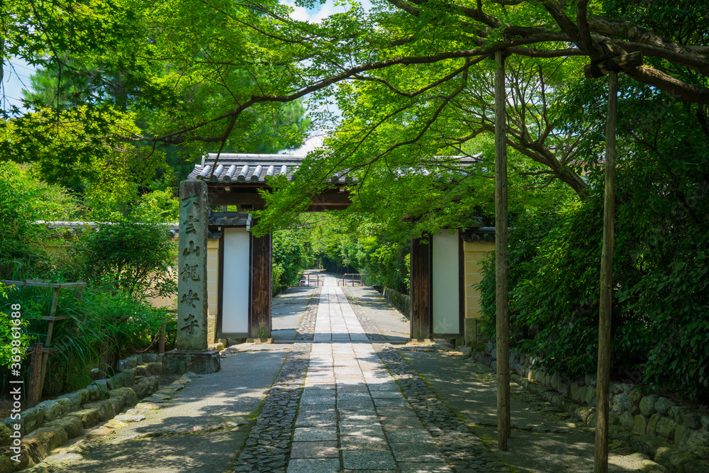 京都　龍安寺の新緑と参道
