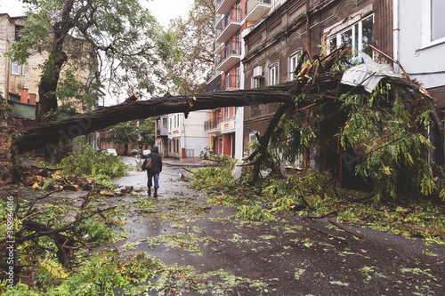 Hurricane CHRISTIE. Heavy rain and gale - force gusts of wind caused accident - old tree during storm fell on car and destroyed house. Strong storm with rain photo