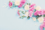 white and pink chrysanthemums on blue paper background