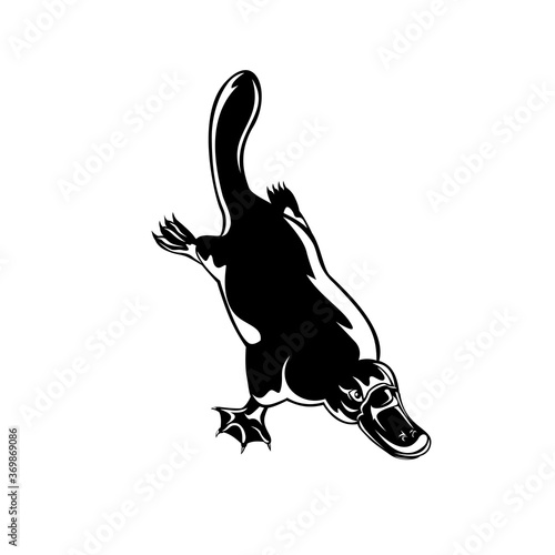 Duck-Billed Platypus Ornithorhynchus Anatinus Diving Retro Woodcut Black and White