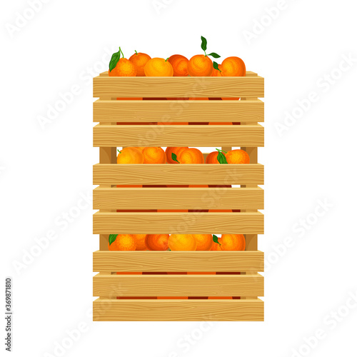 Oranges in Wooden Crates as Ripe Fruit Harvesting for Juice Production Vector Illustration