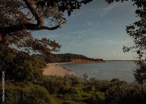 Heaven looking beach, discovering it through vegetation, calm waters and nice landscape